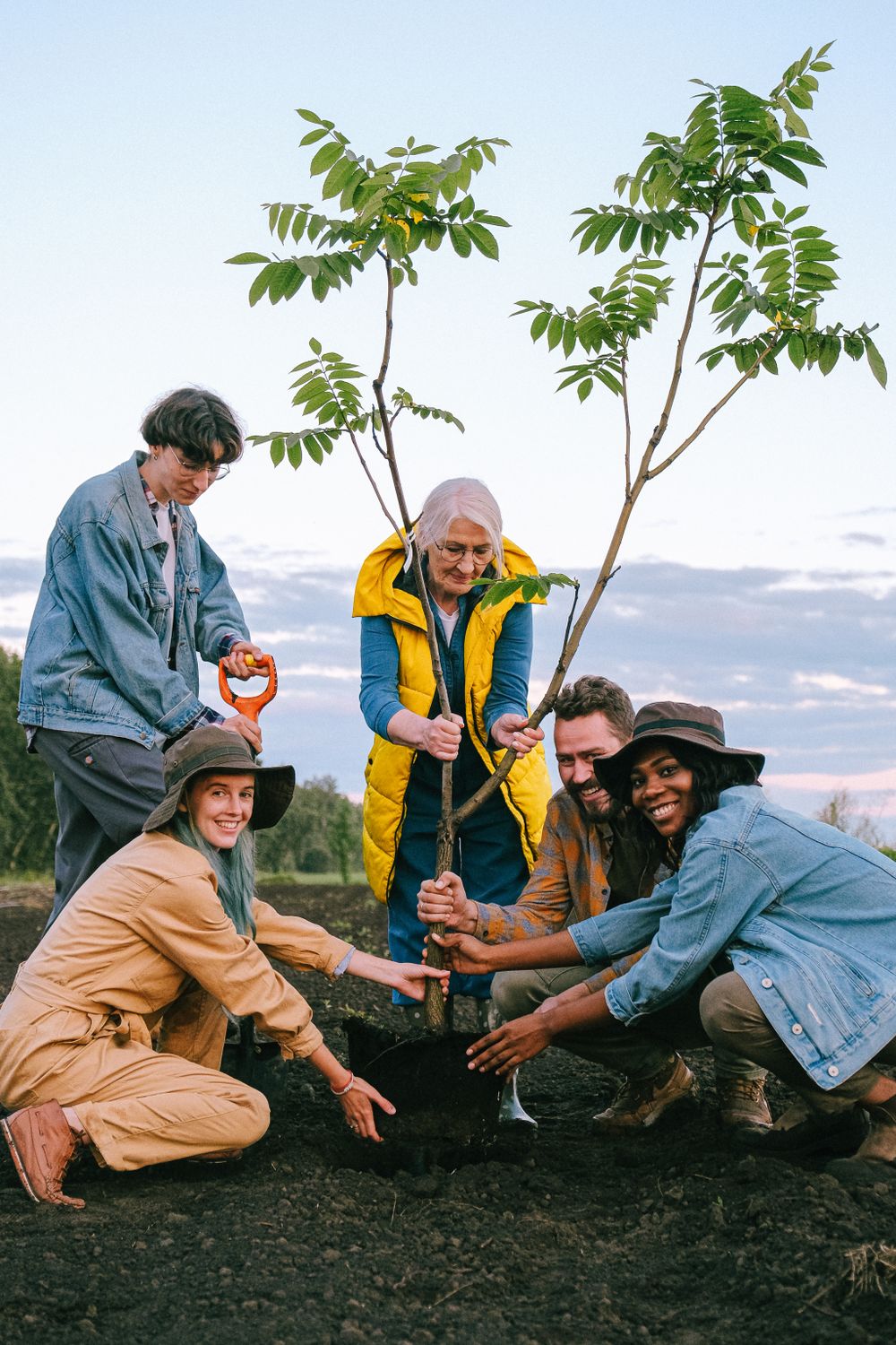 Voluntariado de distintas generaciones plantando un árbol